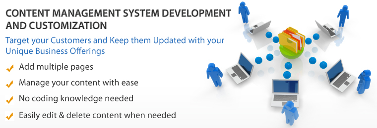 Content Management System CMS development company Kanpur India