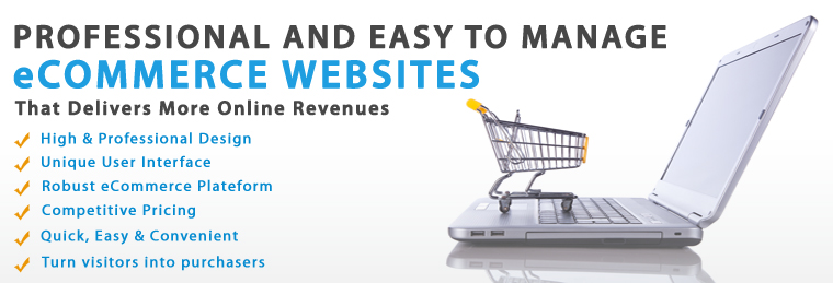 E-commerce website development and shopping cart solutions Kanpur India