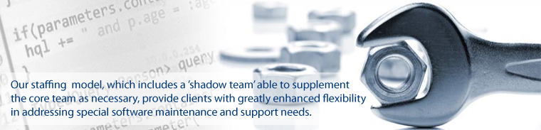 Software maintenance and support services Kanpur India